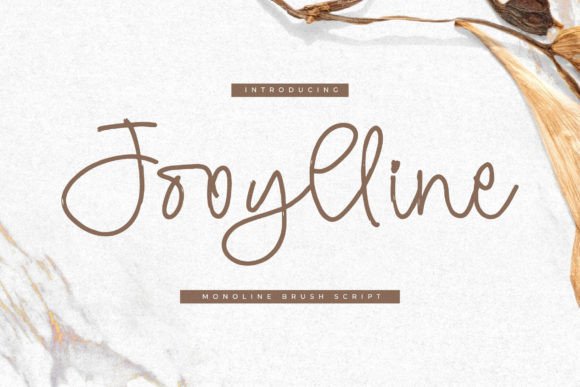 Adding a Personal Touch to Your Brand with Jooylline and Jooylline - Monoline Brush Script