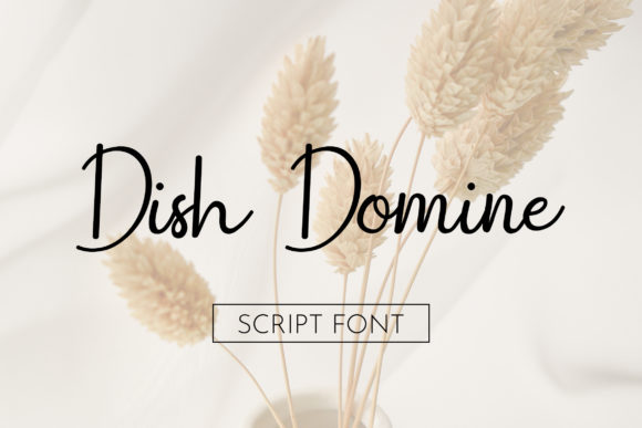 Strategic Typography: Leveraging Dish Domine for High-Impact Branding