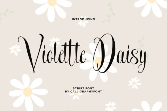 Violette Daisy: Elevate Your Design with Modern Elegance
